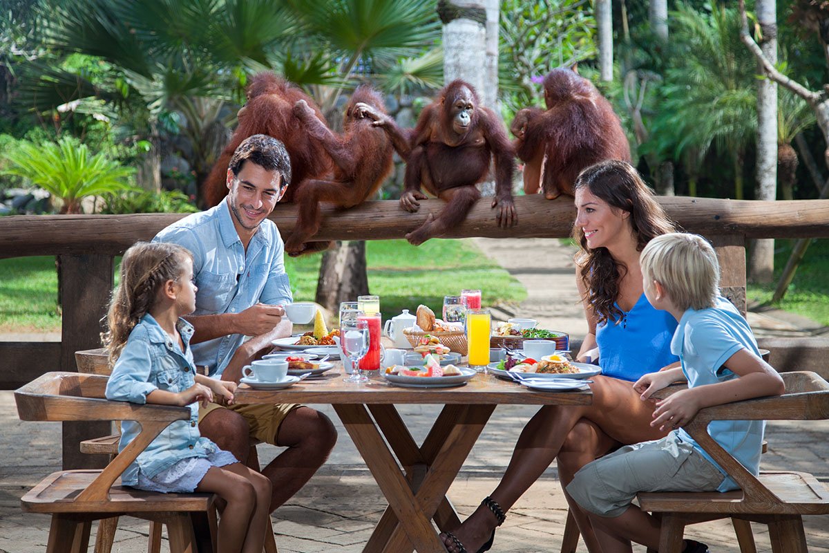 Breakfast With Orangutan & Rafting